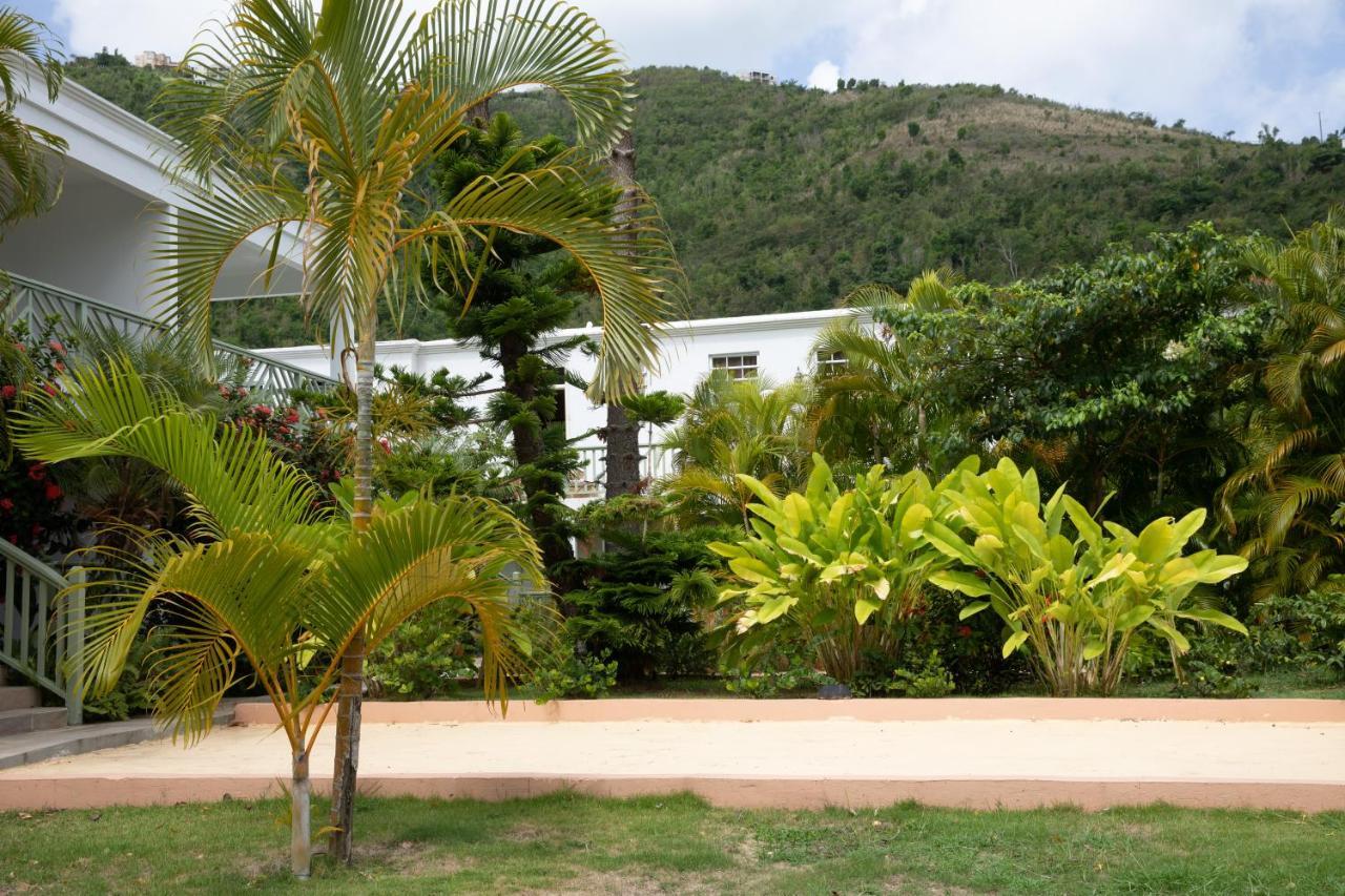 Icis Villas Brewers Bay Экстерьер фото